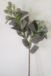 PURPLE POD CLUSTER SPRAY 26"