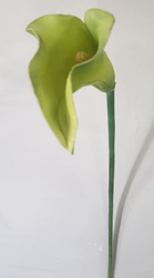 CALLA LILY GREEN FOAM 34"