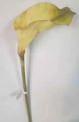 CALLA  LILY GREEN LG 34"