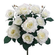 ROSE BUSHx10 WHITE 18".35