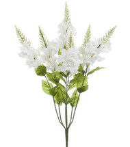 SNAPDRAGON BUSHx7 BEAUTY 27"