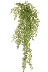 MAIDING HAIR FERNBUSH GREEN 41"