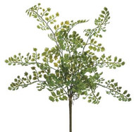 FERN LACE BUSH GREEN 15"