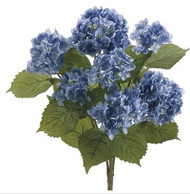 HYDRANDGEA BUSH x7 BLUE 22"