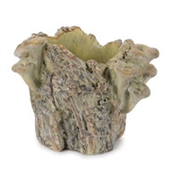 CONTAINER WITH MUSHROOMS CEMENT 7.25"H