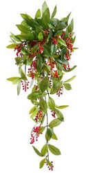 LAUREL LEAF HANGING BUSH RED 30