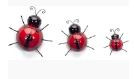 WALL MOUNTABLE LADYBUGS SET OF 3
