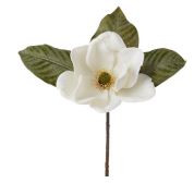 MAGNOLIA PICK WHITE 15"