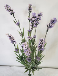LAVENDER BUSH x8 LV 14"