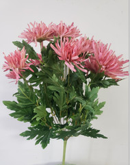 SPIDER MUM BUSH PINK /MAUVE x14 20"