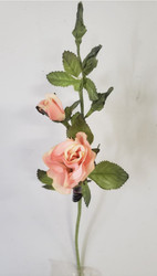 ROSES FLORIBUNDA PINK 14" HND