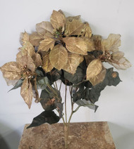 POINSETTIA BUSHx5 OLD/VIC GOLD