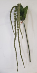 AMARANTHUS SPRAY x4 GR 44"