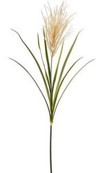 PAMPAGS GRASS TAN/ GREEN 47"
