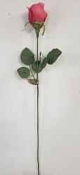 ROSEBUD LONGSTEM RM DEEP ROSE 21"