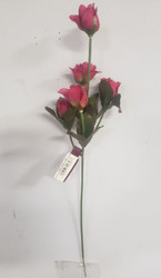 ROSES SWHx5 LT BURGUNDY 14"