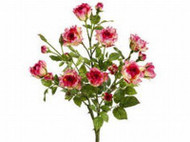 ROSE BUSH BEAUTY/CERISE 21"