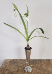 SILVER BUDVASE WHITE PAPER DOLL BULB 15"