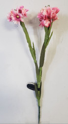 DIANTHUS (PINKS) PINK 15"