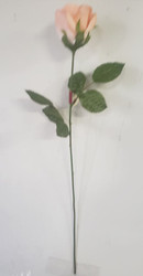 ROSEBUD LONGSTEM PEACH /CORAL 20"