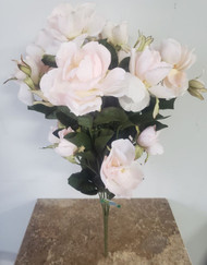 ROSE BUSH PINK CABBAGE x10 20"