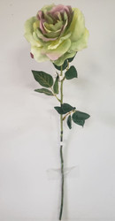 ROSE QUEEN LONGSTEM GREEN / LAVENDER 25.5"