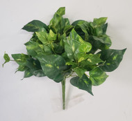POTHOS MINI x88 LEAVES 10"