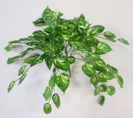 POTHOS BUSH x 120 LEAVES 16"