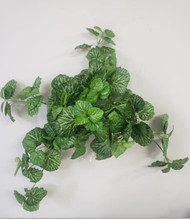PELARGONIUM x 180 15"