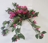 IMPATIENTS BUSH FUSHIA 12"