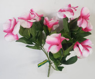 PETUNIA BUSH x7 FUSHIA STAR 9.5"