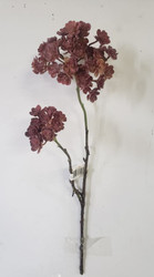 ECHEVERIA MINI (2 ASST) 19" MAUVE AND GREEN