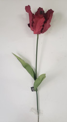 TULIP PARROT BURGUNDY 28"