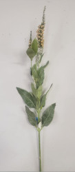 Veronica Spray Yellow / Natural 28"