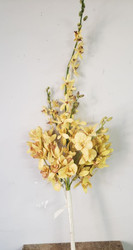 BRIDAL BOUQUET ORCHIDS CREAM/ WHITE 34" HAND-TIED