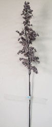 BERRY SPRAY GRAY 32"