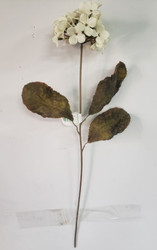HYDRANGEA DRIED-LOOK IVORY 22"