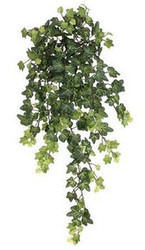 IVY LACE HG/BUSHX13 GR 22.5