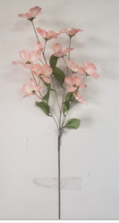 DOGWOOD PINK x12 24"