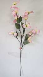 DOGWOOD ASST PINK / WHITE x10 22"