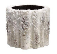 BIRCH LOOK CONTAINER SNOWED 5"