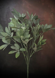 SCHEFFLERA PLANT GREEN PLASTIC 14"