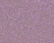 Lilac Purple Fondant Pearl Dust .05oz. Wilton