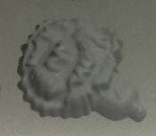 Carnation Rubber Candy Mold