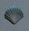 Shell Rubber Candy Mold