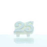 CANDLE 25th ANNIVERSARY