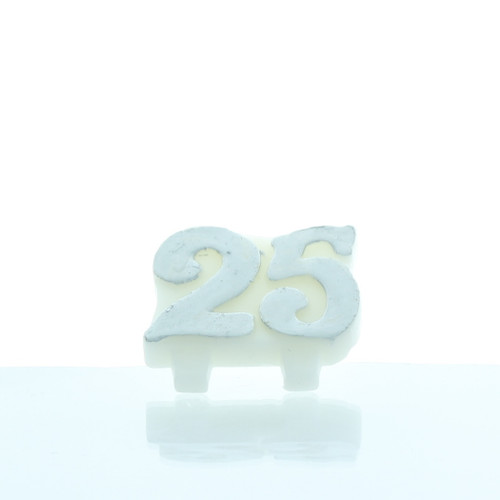 CANDLE 25th ANNIVERSARY