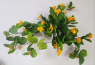 NASTURTIUM BUSH ORANGE 30"