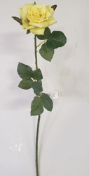 ROSE LONGSTEM CONNIFER YELLOW 20"