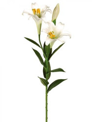 EASTER LILYx3 WHITE 31"